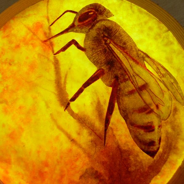 Bees 9