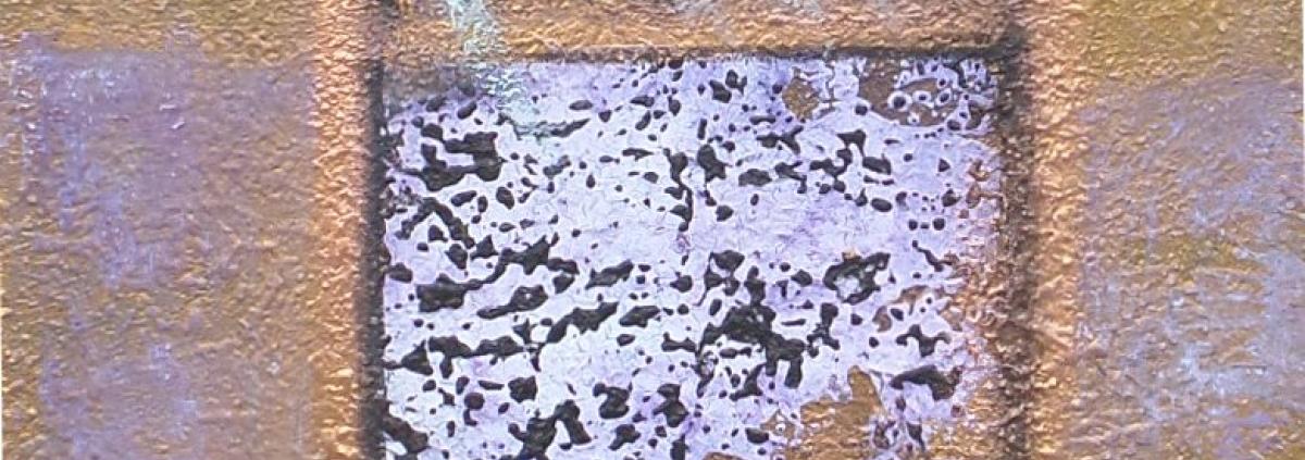 Natura Incognita