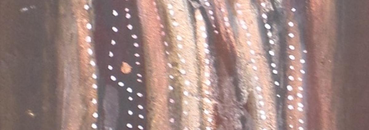 Natura Incognita