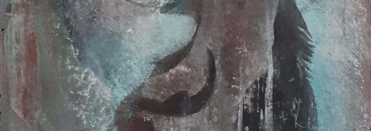 Anatomie du Corbeau 7