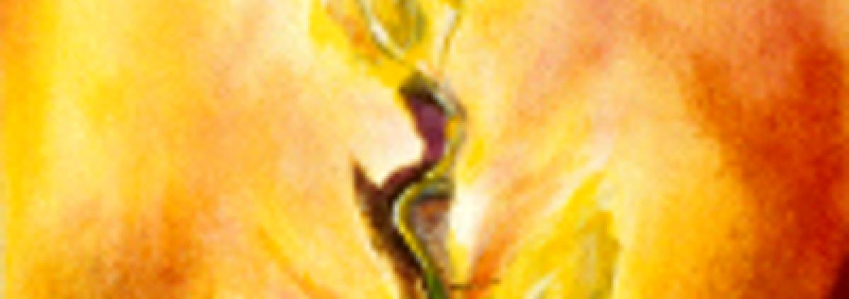 From Seed Thought to Seed Deed 5