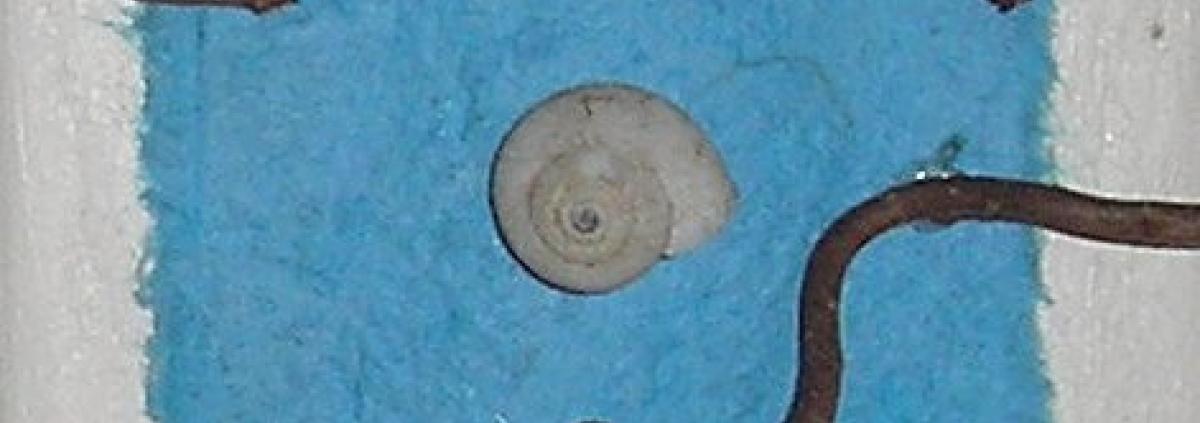 Escargot 3