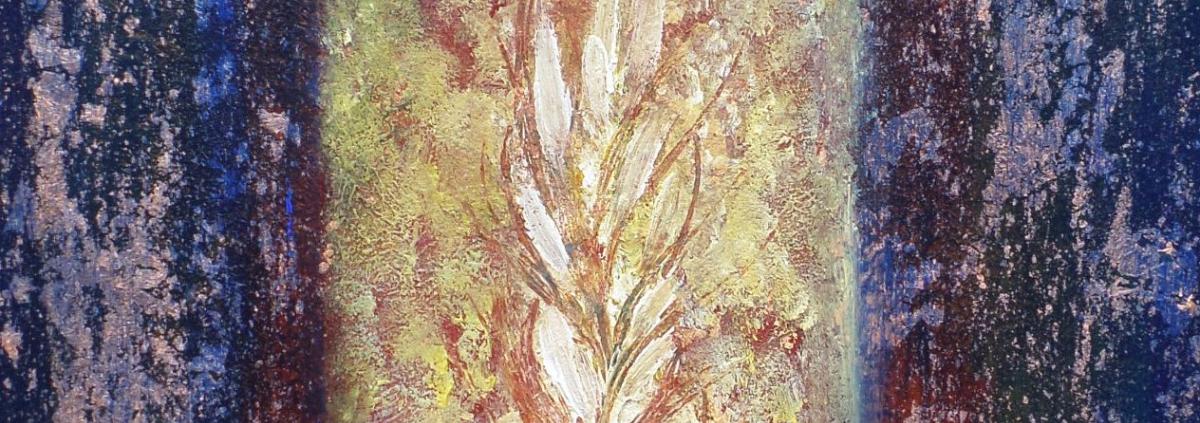 Natura Incognita 50