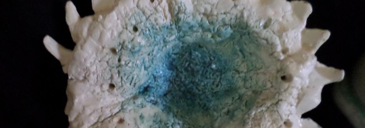 Inspirations de la mer 9