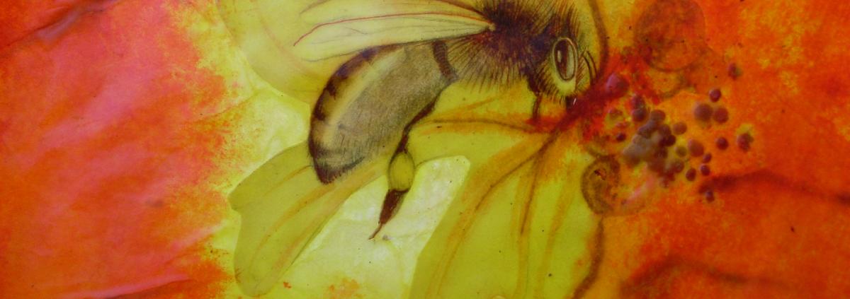 Bees 12
