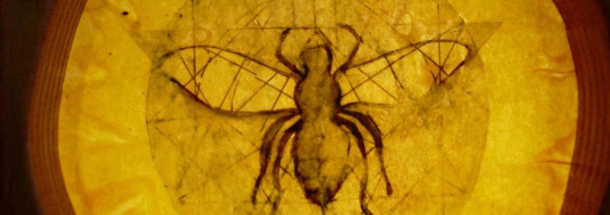 Bees 30