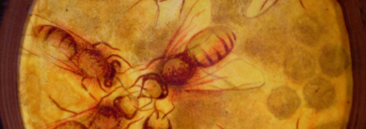 Bees 35