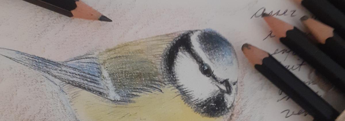 Dessin